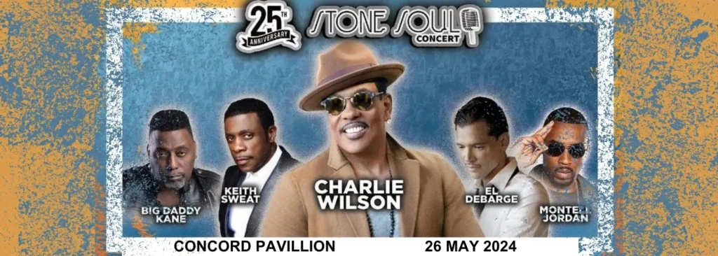 Stone Soul Concert at Toyota Pavilion At Concord